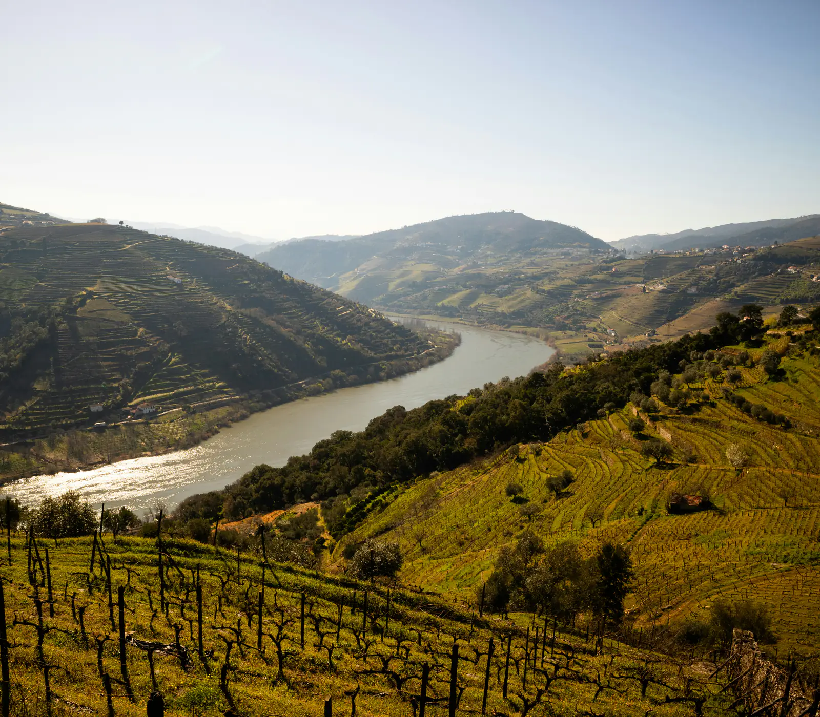 The Douro Valley: vineyard terraces descending towards the river.