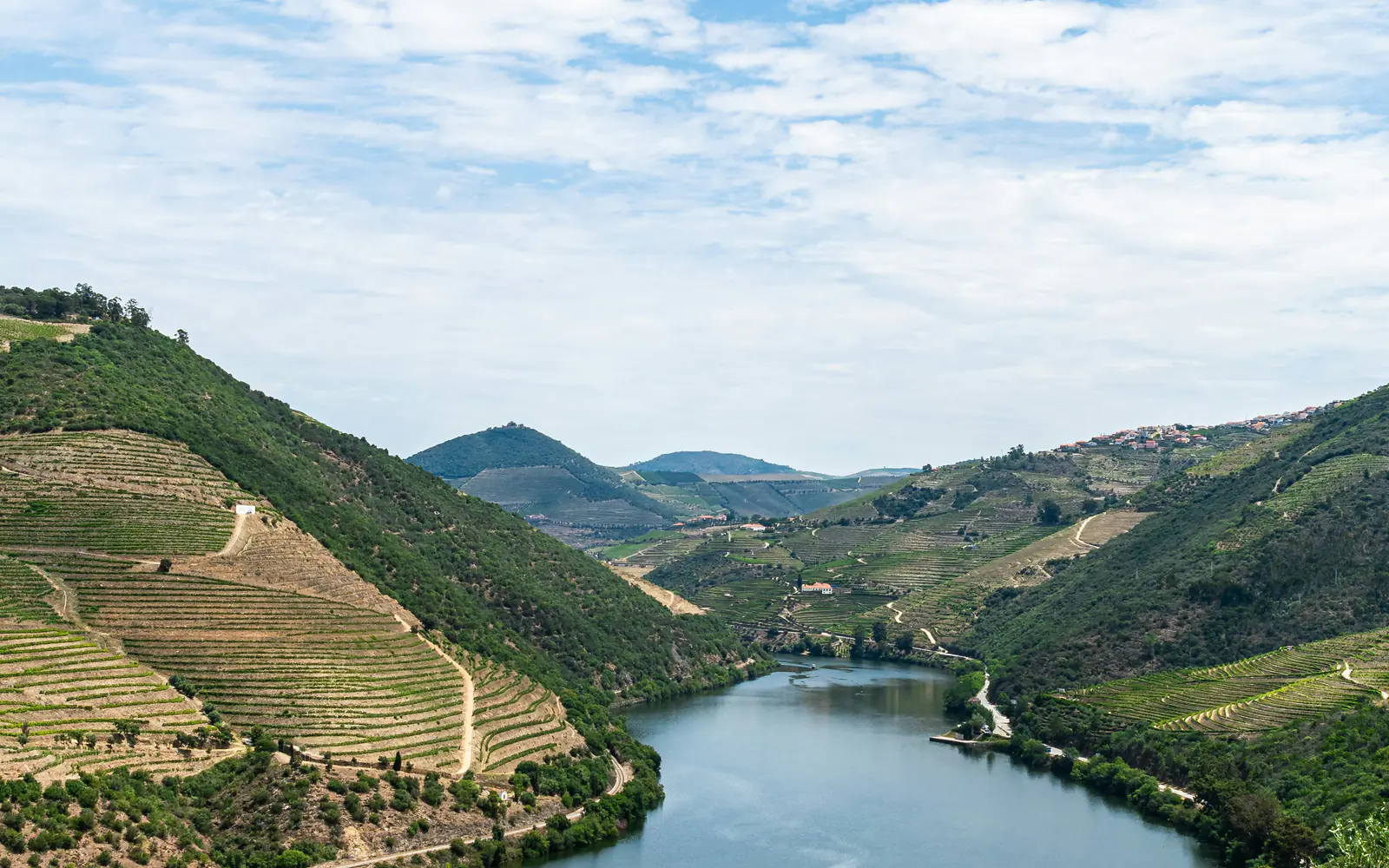 The Douro between vineyard terraces, seen from the hillside.